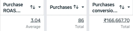 Meta Ads Manager totals: purchase ROAS 3.04, 86 purchases, ₹1,66,667.70 purchase conversion value